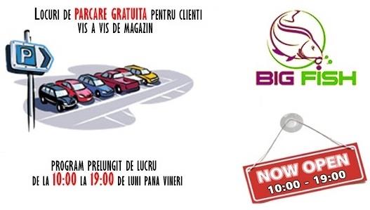 De ce sa cumperi de la Big Fish?